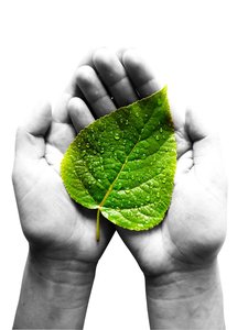 行业报告最佳实践：提升效率的实用技巧